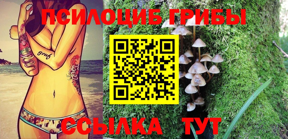 Галлюциногенные грибы MAGIC MUSHROOMS Протвино